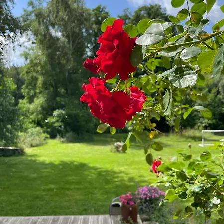 度假居 Charmning At The Edge Of The Uckermark *